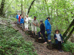  <a style='color: #fff;' href='/uploaded/photo/balade-daniel-57b97389247c1.jpg'>(Télécharger)</a>