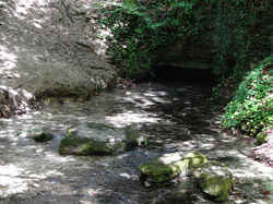  <a style='color: #fff;' href='/uploaded/photo/balade-daniel-57b973924df8a.jpg'>(Télécharger)</a>