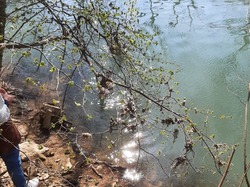  <a style='color: #fff;' href='/uploaded/photo/balade-du-28-mars-2021-60698950ed9b8.jpg'>(Télécharger)</a>