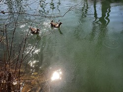  <a style='color: #fff;' href='/uploaded/photo/balade-du-28-mars-2021-6069896946de4.jpg'>(Télécharger)</a>