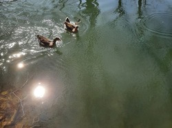  <a style='color: #fff;' href='/uploaded/photo/balade-du-28-mars-2021-60698973f2964.jpg'>(Télécharger)</a>