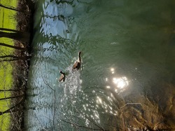  <a style='color: #fff;' href='/uploaded/photo/balade-du-28-mars-2021-60698999dc060.jpg'>(Télécharger)</a>