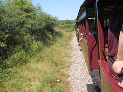  <a style='color: #fff;' href='/uploaded/photo/balade-petit-train-bligny-sur-ouche-62ea8a1d20837.jpg'>(Télécharger)</a>