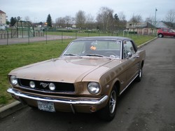  <a style='color: #fff;' href='/uploaded/photo/buvette-marche-de-chevigny-58d8da65043ca.jpg'>(Télécharger)</a>