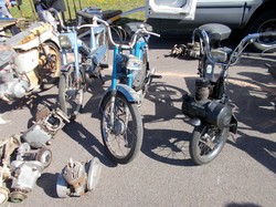  <a style='color: #fff;' href='/uploaded/photo/exposition-arbracam-58f4a329e1777.jpg'>(Télécharger)</a>