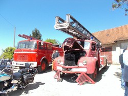  <a style='color: #fff;' href='/uploaded/photo/exposition-longwy-sur-le-doubs-574978bb44f40.jpg'>(Télécharger)</a>