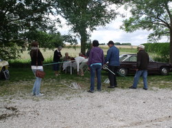  <a style='color: #fff;' href='/uploaded/photo/exposition-saulon-la-chapelle-54180595d3018.jpg'>(Télécharger)</a>