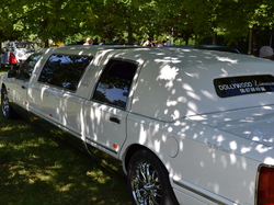  <a style='color: #fff;' href='/uploaded/photo/fete-de-la-locomotion-53dbcc956c119.jpg'>(Télécharger)</a>