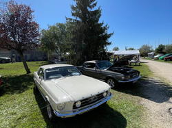  <a style='color: #fff;' href='/uploaded/photo/retro-passion-2025-68bfbfa558447.jpg'>(Télécharger)</a>