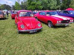  <a style='color: #fff;' href='/uploaded/photo/saint-julien-et-vignoles-2022-62c1b722bc303.jpg'>(Télécharger)</a>