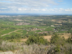  <a style='color: #fff;' href='/uploaded/photo/sortie-chagny-26-07-2020-5f671b6b143b0.jpg'>(Télécharger)</a>