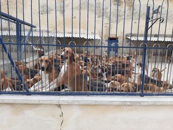  <a style='color: #fff;' href='/uploaded/photo/sortie-chatillon-20-06-2020-5f6716095293e.jpg'>(Télécharger)</a>