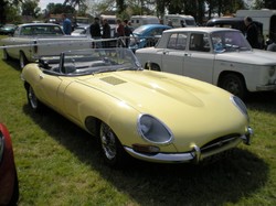  <a style='color: #fff;' href='/uploaded/photo/vignoles-2017-590d9d79c4212.jpg'>(Télécharger)</a>