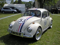  <a style='color: #fff;' href='/uploaded/photo/vignoles-2017-590d9da803aa9.jpg'>(Télécharger)</a>