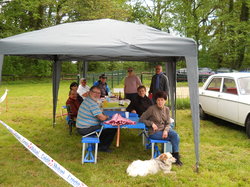  <a style='color: #fff;' href='/uploaded/photo/vignoles-2018-5af826843efa7.jpg'>(Télécharger)</a>