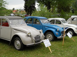  <a style='color: #fff;' href='/uploaded/photo/vignoles-2018-5af828321159e.jpg'>(Télécharger)</a>