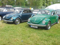  <a style='color: #fff;' href='/uploaded/photo/vignoles-2019-5d10ba24f20a0.jpg'>(Télécharger)</a>