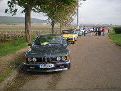  <a style='color: #fff;' href='/uploaded/photo/vignoles-554dc68462afc.jpg'>(Télécharger)</a>