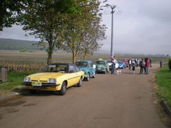  <a style='color: #fff;' href='/uploaded/photo/vignoles-554dc68be4083.jpg'>(Télécharger)</a>