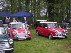  <a style='color: #fff;' href='/uploaded/photo/vignoles-554dc8816597a.jpg'>(Télécharger)</a>