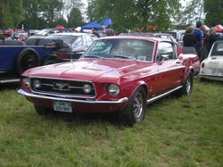  <a style='color: #fff;' href='/uploaded/photo/vignoles-554dc8e9ef474.jpg'>(Télécharger)</a>