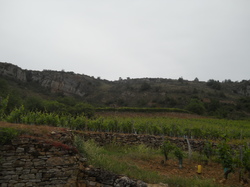  <a style='color: #fff;' href='/uploaded/photo/week-end-avac-2019-5d10d29b60803.jpg'>(Télécharger)</a>