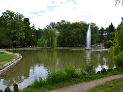  <a style='color: #fff;' href='/uploaded/photo/week-end-avac-lons-le-saunier-5605776ba0836.jpg'>(Télécharger)</a>